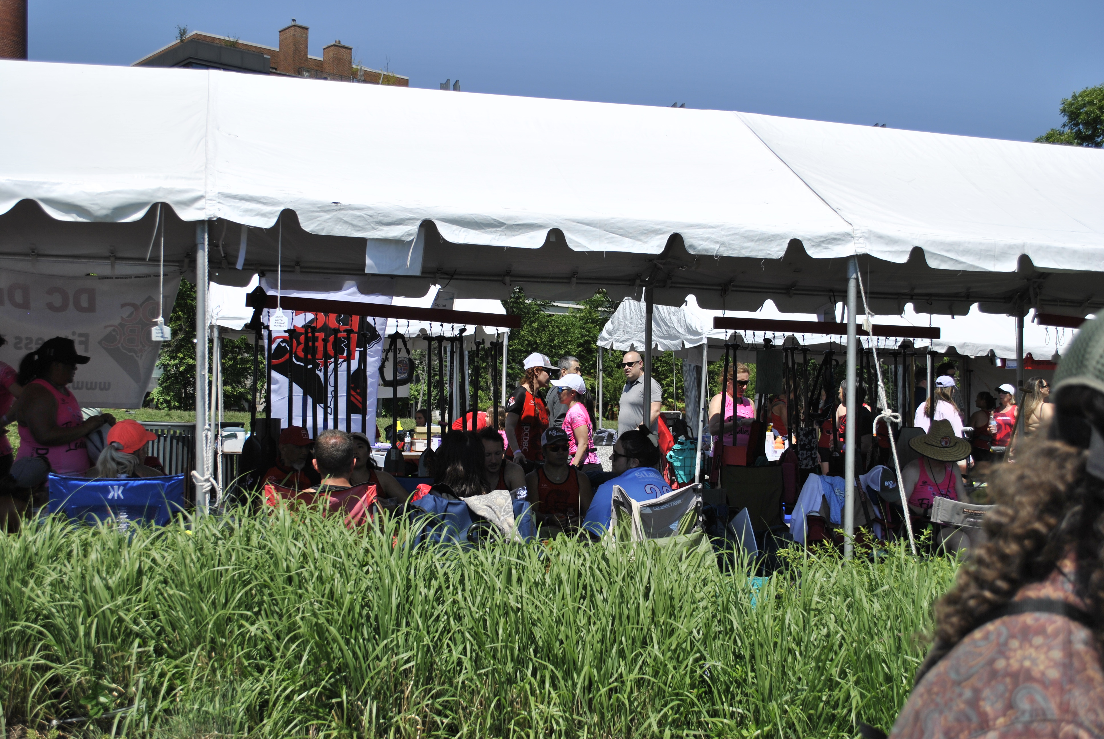 DC Dragon Boat Festival at Georgetown Waterfront Park